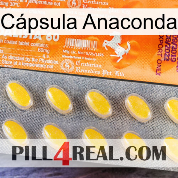 Cápsula Anaconda new05.jpg